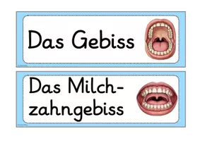 Vorschau - Fördermaterial/Inklusion - Meine Zähne- Tafelmaterial - Seite 2