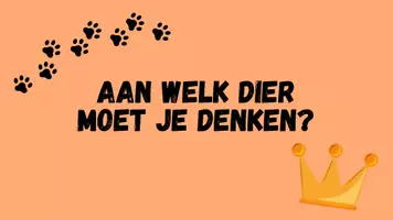 Voorbeeld - Koningsdag Leeuw Knutselen 🦁🇳🇱 - Pagina 2