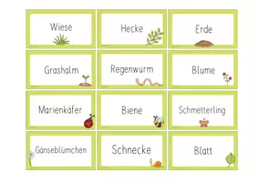 Vorschau - Spiele - Fächerübergreifendes Materialpaket Wiese - Seite 1