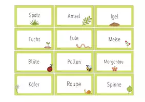 Vorschau - Spiele - Fächerübergreifendes Materialpaket Wiese - Seite 3
