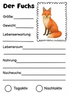 Vorschau - Bildkarten - Waldtiere 16 Steckbriefe & Wissenskarten | Grundschule - Seite 2