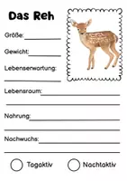Vorschau - Bildkarten - Waldtiere 16 Steckbriefe & Wissenskarten | Grundschule - Seite 3
