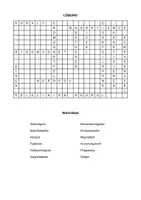 Vorschau - Arbeitsblätter - Rätsel Magnetismus 5. Klasse Suchsel - Seite 1