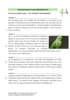 Vorschau - Arbeitsblätter - Tierbeschreibung Halsbandsittch - Seite 1