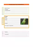 Vorschau - Arbeitsblätter - Tierbeschreibung Halsbandsittch - Seite 3