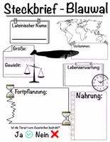 Vorschau - Arbeitsblätter - Tiersteckbrief - Blauwal - Deckblatt