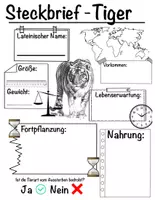 Vorschau - Arbeitsblätter - Steckbrief - Tiger - Deckblatt