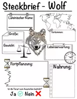 Vorschau - Arbeitsblätter - Steckbrief - Wolf - Deckblatt