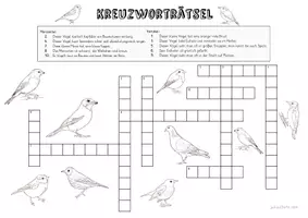 Vorschau - Arbeitsblätter - Heimische Vögel Kreuzworträtsel - Seite 2