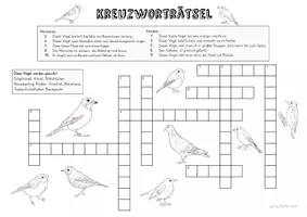Vorschau - Arbeitsblätter - Heimische Vögel Kreuzworträtsel - Seite 3