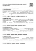 Vorschau - Unterrichtsreihen - Leonce und Lena von Georg Büchner (Arbeitsheft) - Seite 2