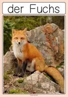 Vorschau - Arbeitsblätter - Fuchs, Eichhörnchen, Igel Herbst Sachunterricht 1 & 2 - Seite 2