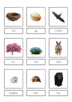 anteprima - Flashcard - Materiale a tema Primavera: Inglese/Italiano - Pagina 1