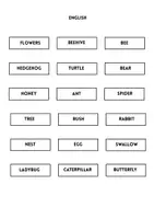 anteprima - Flashcard - Materiale a tema Primavera: Inglese/Italiano - Pagina 3