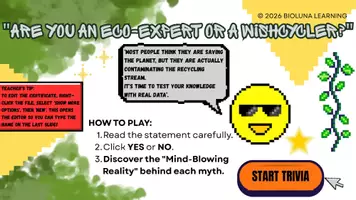 Vista previa - Juegos / Gamificación - FREE Recycling True or False KS2–KS3 | Earth Day Interactive - página 3