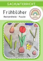 Vorschau - Spiele - Frühblüher Puzzle - Bestandteile einer Pflanze (1. + 2. Klasse) - Deckblatt