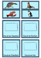 Vorschau - Spiele - Lesebox Tiere im Meer - Seite 3