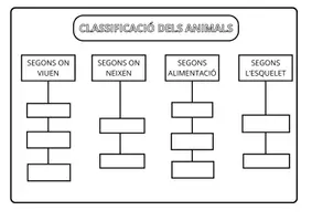 Vista previa - Hojas de trabajo - CLASSIFICACIÓ DELS ANIMALS vertebrats i invertebrats - página 3