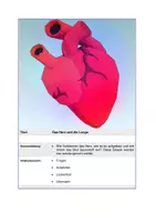 Vorschau - Stundenentwürfe - Biologie Sek I - Seite 1
