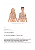 Vorschau - Stundenentwürfe - Biologie Sek I - Seite 2