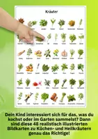 Vorschau - Poster - Lernposter Kräuter – 47 realistische Pflanzen für Unterricht, Freiarbeit & Wortschatztraining - Seite 1