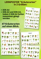 Vorschau - Poster - Lernposter Kräuter – 47 realistische Pflanzen für Unterricht, Freiarbeit & Wortschatztraining - Seite 2