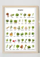 Vorschau - Poster - Lernposter Kräuter – 47 realistische Pflanzen für Unterricht, Freiarbeit & Wortschatztraining - Seite 3