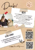 Vorschau - Arbeitsblätter - Pets | At the vet | Vokabelblatt - Seite 3