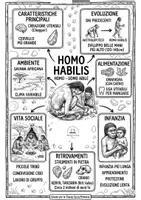 anteprima - Materiale di supporto/inclusione - MAPPE HOMO ABILIS E HOMO ERGASTER - Pagina di copertina