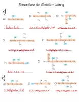 Vorschau - Arbeitsblätter - großes Materialpaket: Alkohol und seine Oxidationsprodukte (Nomenklatur, Eigenschaften, etc.) - Seite 2