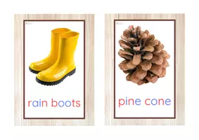 Vista previa - Tarjetas / Manipulativos - INGLÉS - Vocabulario letra minúscula imprenta (otoño) - página 3