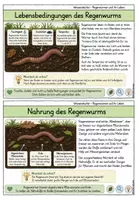 Vorschau - Unterrichtsreihen - Der Regenwurm - Wissenskartei - Seite 3