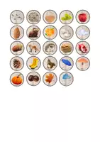 Vista previa - Juegos / Gamificación - INGLÉS - Ruleta y bingo letra imprenta (otoño) - Portada