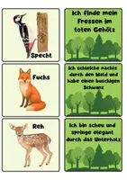 Vorschau - Spiele - Lese-Zuordnungsspiel Waldtiere – Klasse 2 – 4 - Seite 1