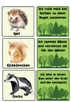 Vorschau - Spiele - Lese-Zuordnungsspiel Waldtiere – Klasse 2 – 4 - Seite 3