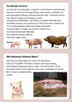 Vorschau - Aufgabenkarten - Nutztiere Wissenskartei + Steckbriefe - Seite 1