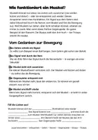 Vorschau - Arbeitsblätter - Muskeln verstehen & erleben - Seite 3