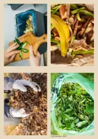 Vorschau - Arbeitsblätter - Müll und Recycling Sachunterricht Kl. 1 & 2 differenziert - Seite 2