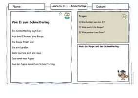 Vorschau - Arbeitsblätter - Schmetterlinge Klasse 1–4 Materialpaket | Differenzierte Lesetexte mit Metamorphose, Ökosystem & AFB I–III (mit Lösungen) - Seite 1