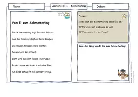 Vorschau - Arbeitsblätter - Schmetterlinge Klasse 1–4 Materialpaket | Differenzierte Lesetexte mit Metamorphose, Ökosystem & AFB I–III (mit Lösungen) - Seite 2