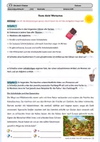 Vorschau - Arbeitsblätter - Test Wortarten Klasse 5/6 (mit Bewertung) - Seite 1