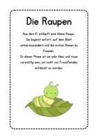 Vorschau - Arbeitsblätter - Arbeitsblätter zum Lebenszyklus von Schmetterlingen - Seite 3