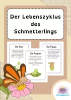 Vorschau - Arbeitsblätter - Arbeitsblätter zum Lebenszyklus von Schmetterlingen - Deckblatt