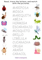 Vista previa - Hojas de trabajo - Los Insectos y Bichos: Lectura, Trazo y Asociación - Portada