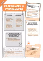 Vorschau - Arbeitsblätter - Filterblasen und Echokammern - Infotext und Steckbrief (Gefahren für die Demokratie) - Seite 3