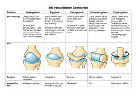 Vorschau - Stundenentwürfe - Gelenkarten/Gelenktypen - Gruppenpuzzle - Seite 1