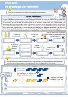 Vorschau - Arbeitsblätter - Die Grundlagen der Gentechnik (Definition / Kreuzung und Gentechnik / Anwendungsbereiche: Grün – Rot – Weiß / Entstehung GVO: Agrobacterium – Genkanone – CRISPR/Cas9 / Genetik / Biologie) - Seite 1