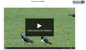Vorschau - Arbeitsblätter - Biologie/Interaktive Videos/H5P/HTML Wachsendes Paket - Seite 2