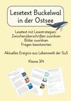 Vorschau - Arbeitsblätter - Gestrandeter Buckelwal Ostsee - Lesetext mit Lesestrategien - Deckblatt