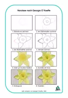 Vorschau - Arbeitsblätter - MATERIALPAKET: Blumen malen 🌼 Georgia O`Keeffe - Seite 3